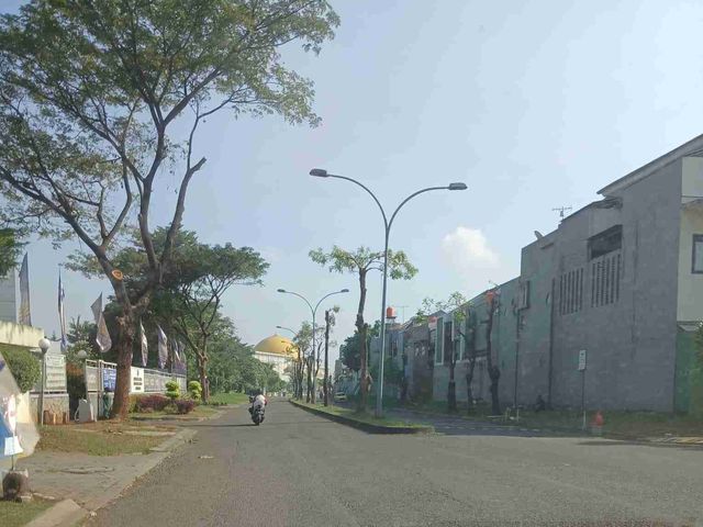 place photo 11