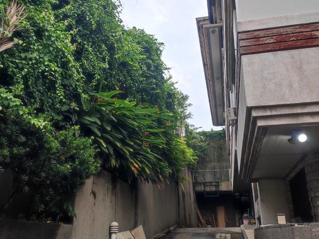 place photo 55
