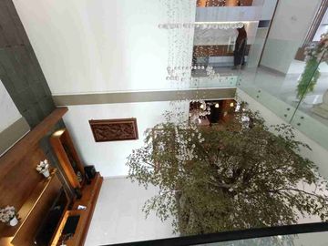 place photo 49