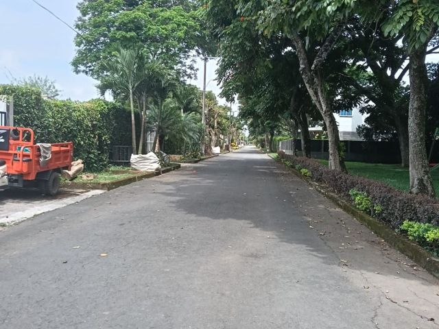 place photo 33