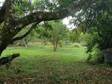 place photo 32