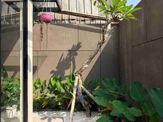place photo 34