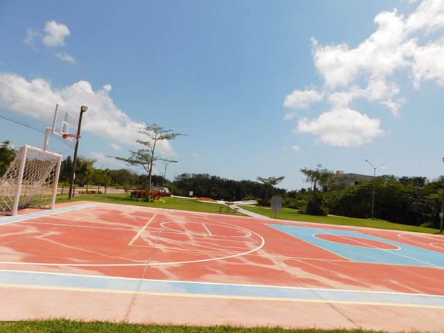 place photo 52