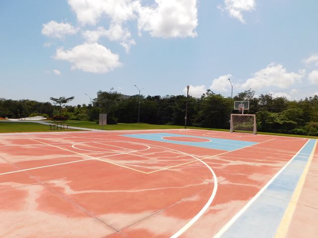 place photo 53