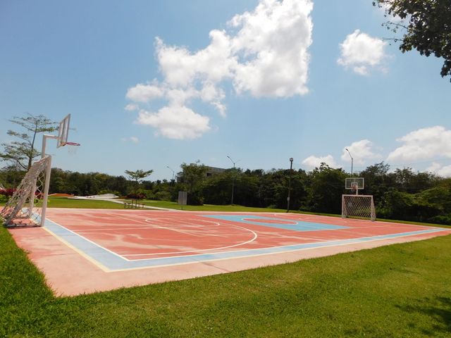 place photo 51