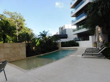 place photo 31