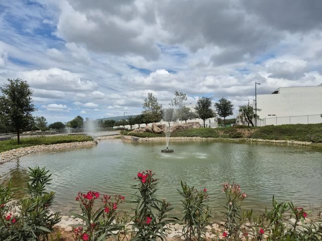place photo 36