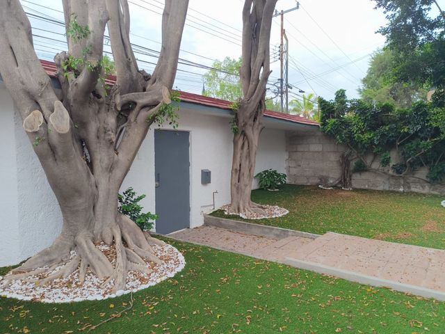 place photo 53