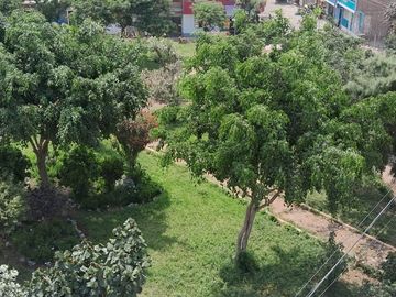 place photo 35