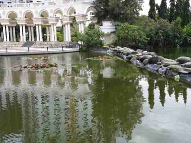 place photo 32