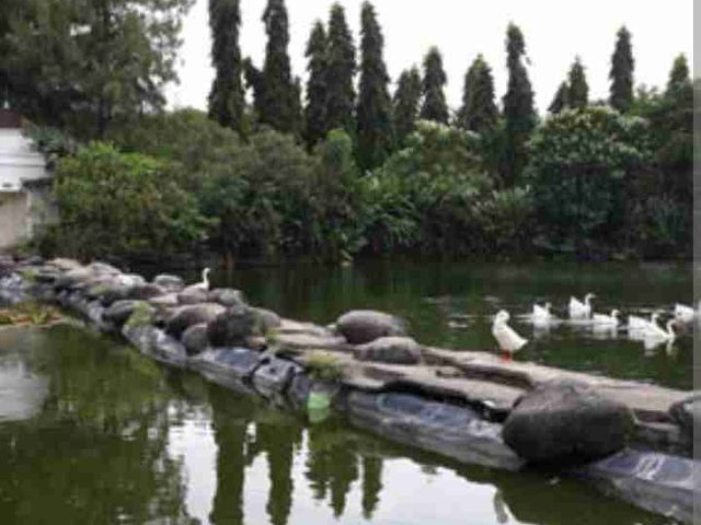 place photo 33