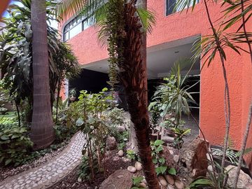 place photo 22