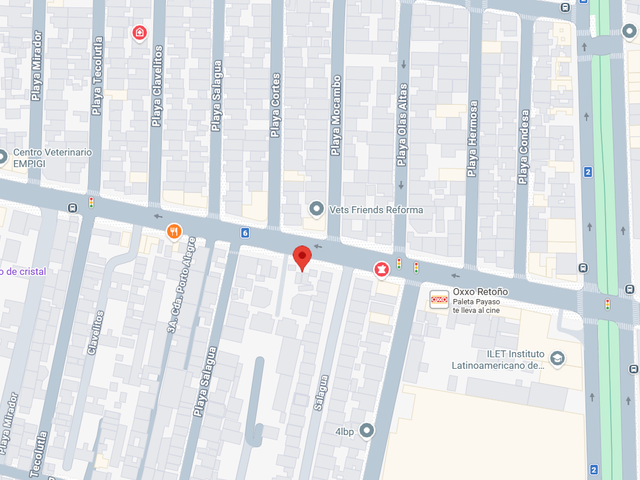 place photo 14