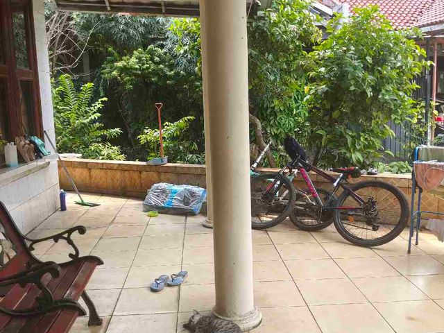place photo 13