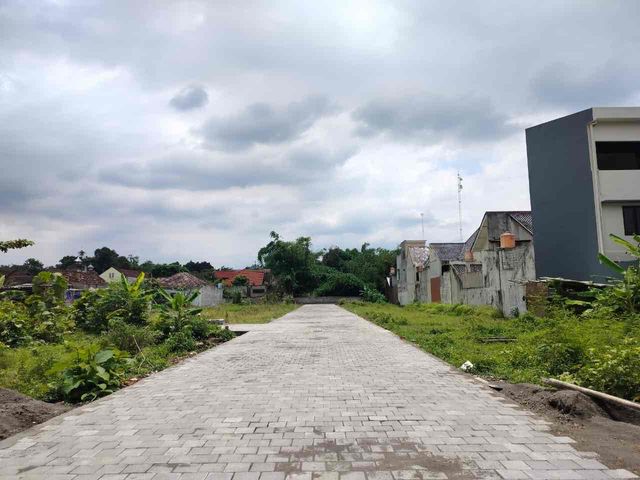 place photo 8