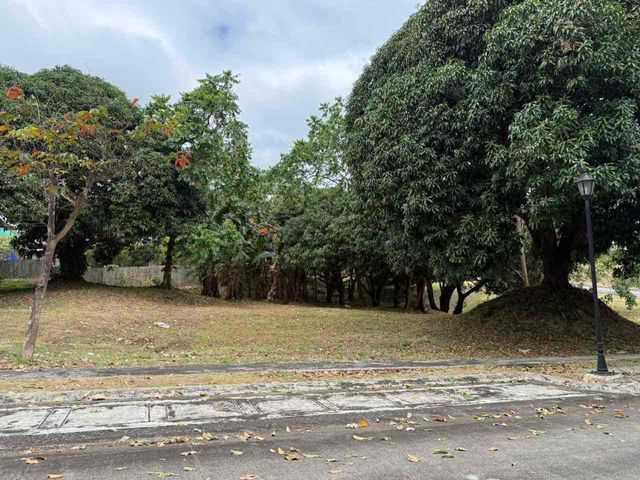 FOR SALE – Residential Lot in Ayala Westgrove Heights
PP CODE: 3431