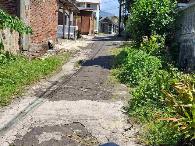 place photo 5