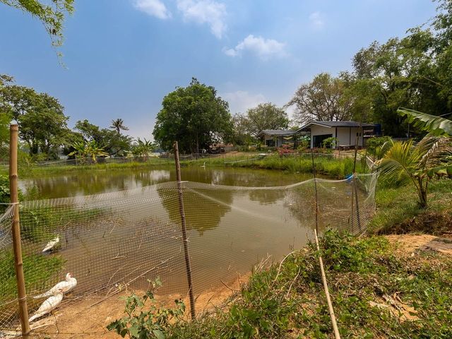 place photo 65