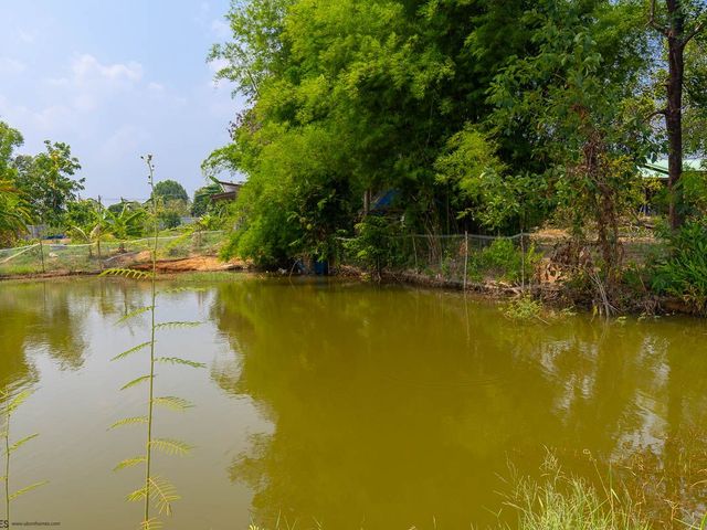 place photo 73