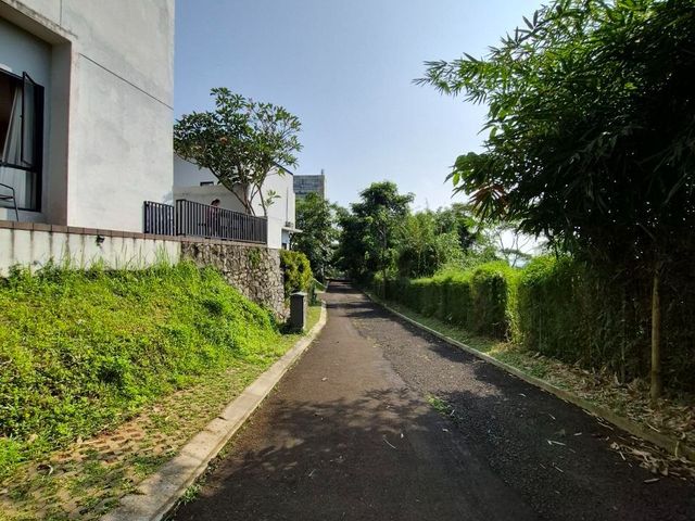 place photo 14