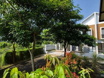 place photo 24