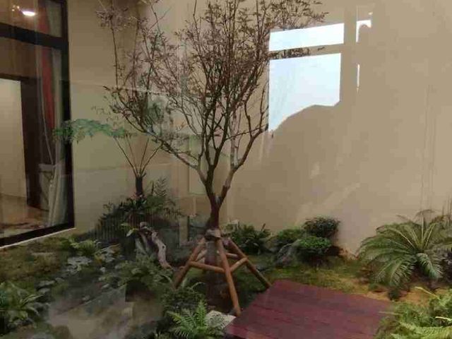 place photo 22