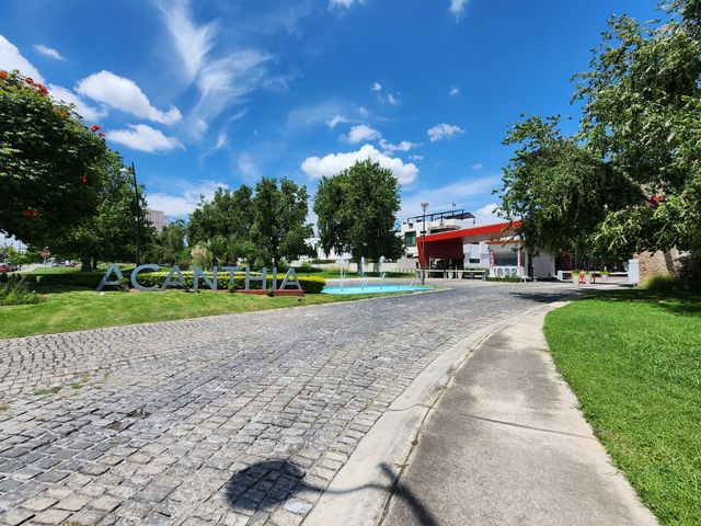 place photo 53