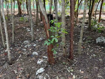 place photo 25