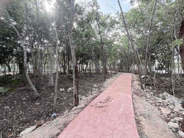 place photo 27