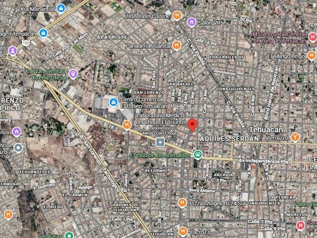 place photo 5