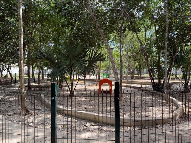 place photo 25