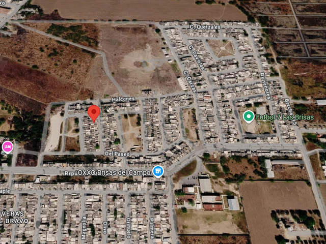 place photo 18
