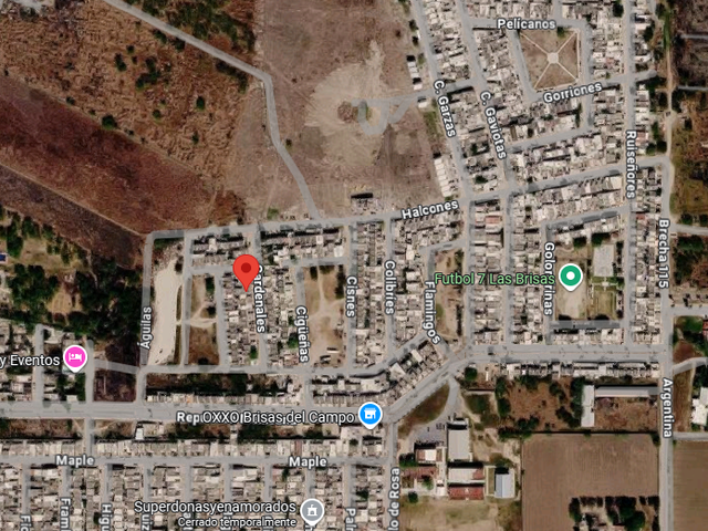 place photo 19