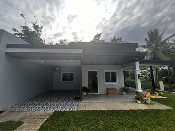 place photo 59
