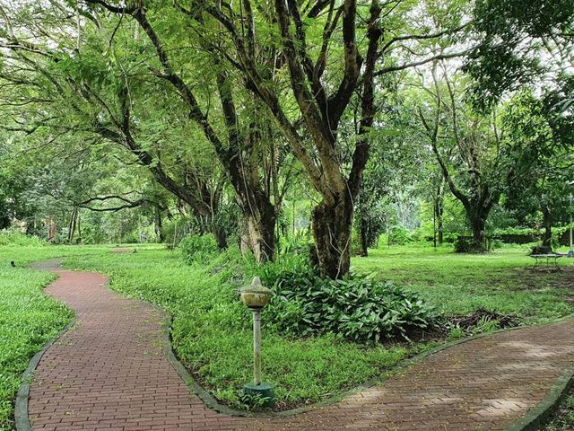 FOR SALE: ₱102.6M Prime Residential Lot – Ayala Heights, Quezon City