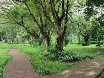 FOR SALE: ₱102.6M Prime Residential Lot – Ayala Heights, Quezon City