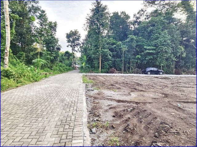 place photo 6