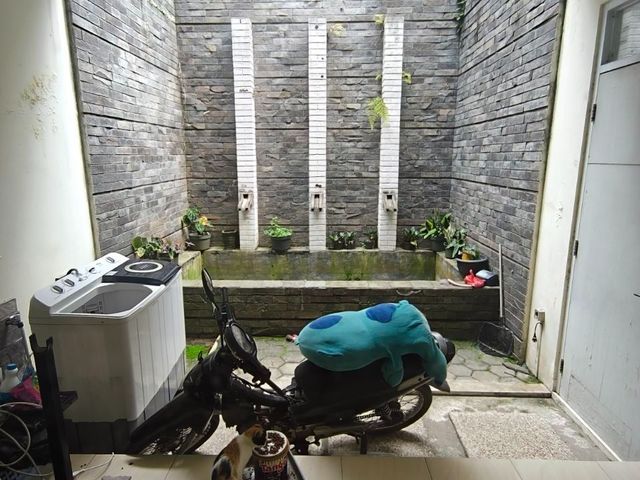 place photo 25