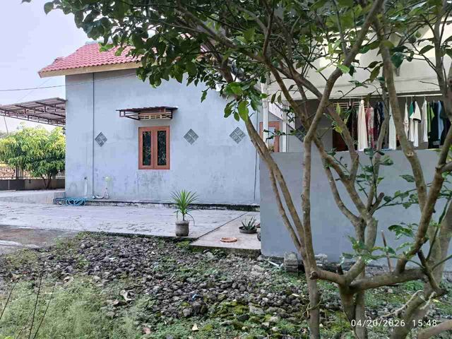 place photo 4
