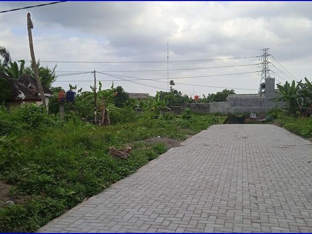 place photo 5