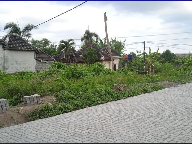 place photo 7