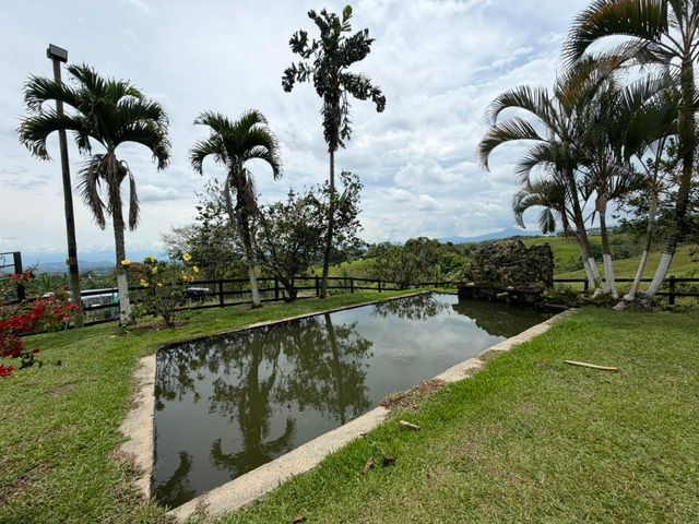 place photo 66
