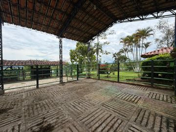 place photo 78