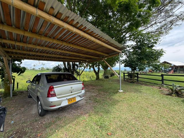 place photo 81