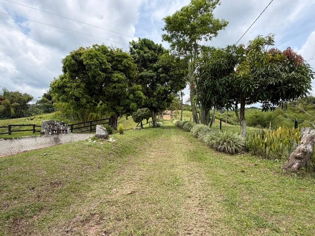 place photo 89
