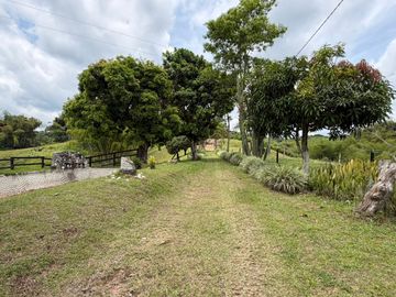 place photo 89