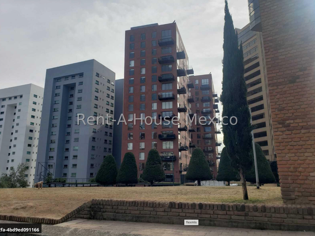 place photo 40