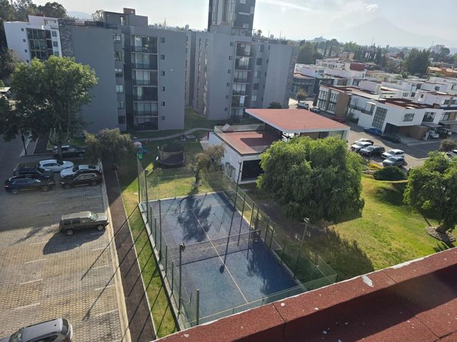 place photo 18