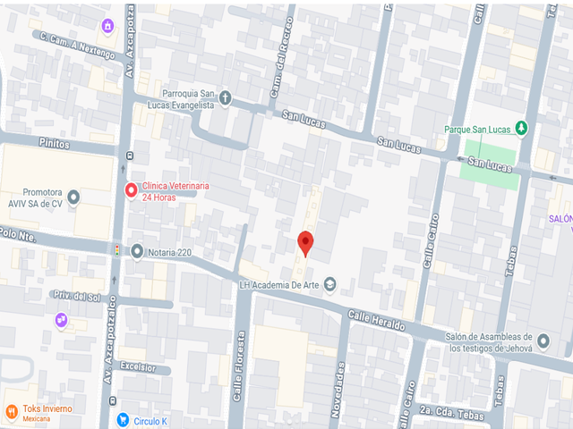 place photo 4