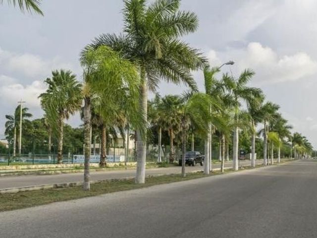 place photo 23